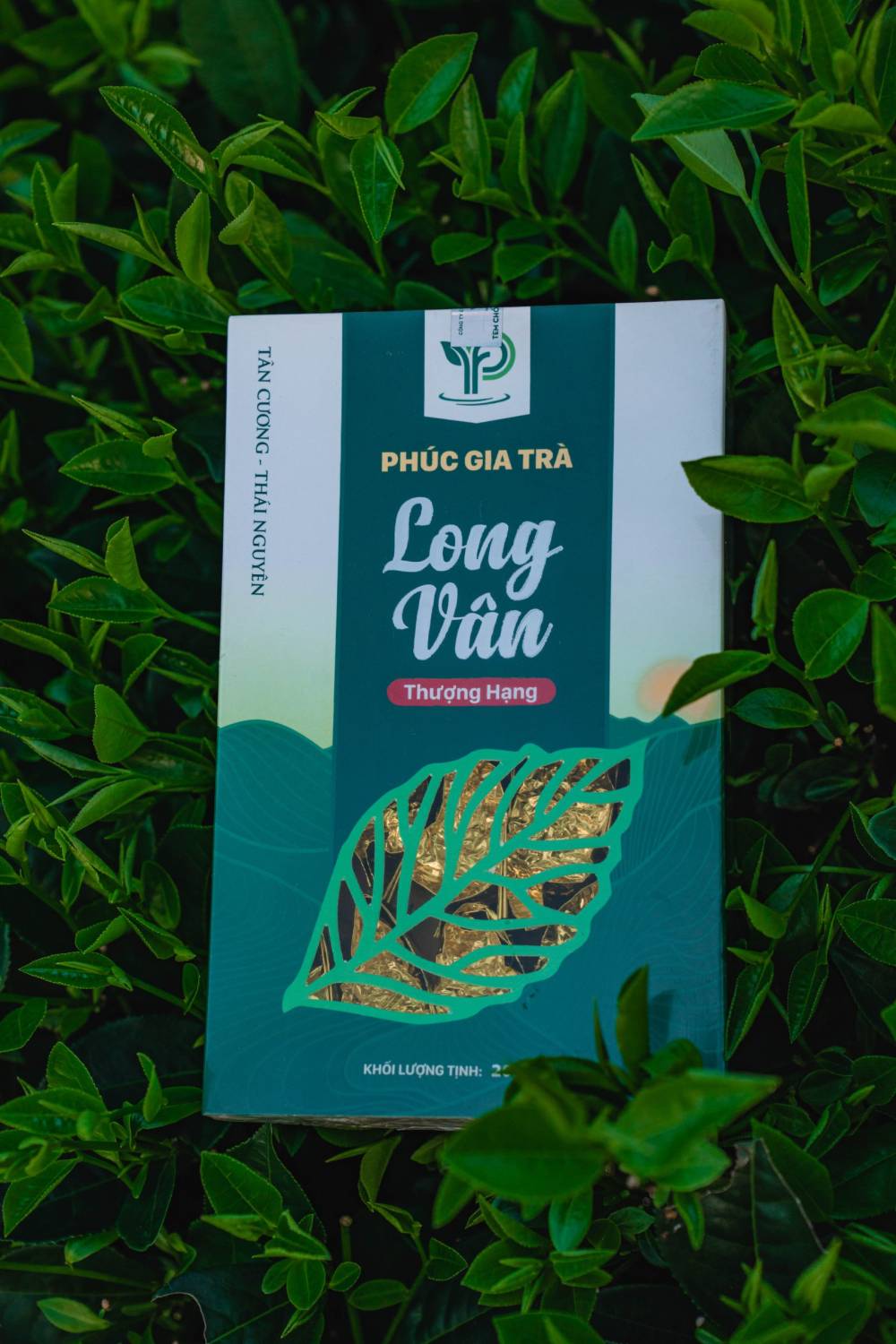 Ảnh bài viết